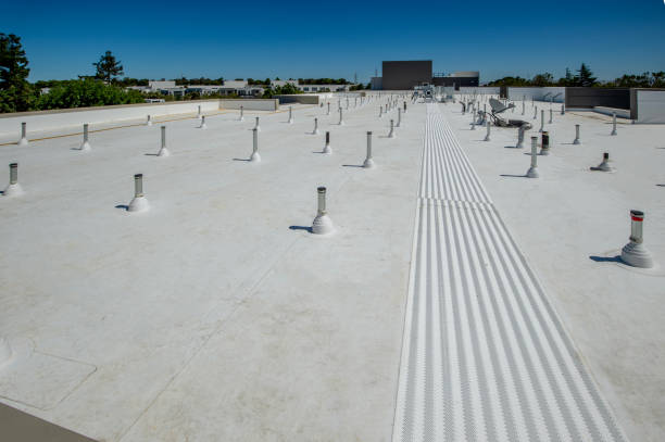 Best Roof Leak Repair  in University Park, IL
